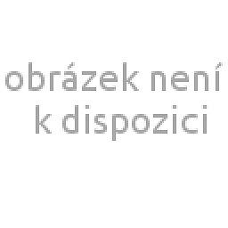 Obrázek produktu Vnitřní ochranné sklíčko pro kuklu VarioProtect XXL W - 10 ks