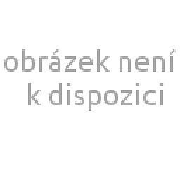 Obrázek pro produkt INSIZE 4101-A2D5 koncová měrka ocelová tř. přesnosti 0 / 2.5mm