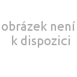 Obrázek pro produkt Segment Ø 48,3mm / rádius 150 mm